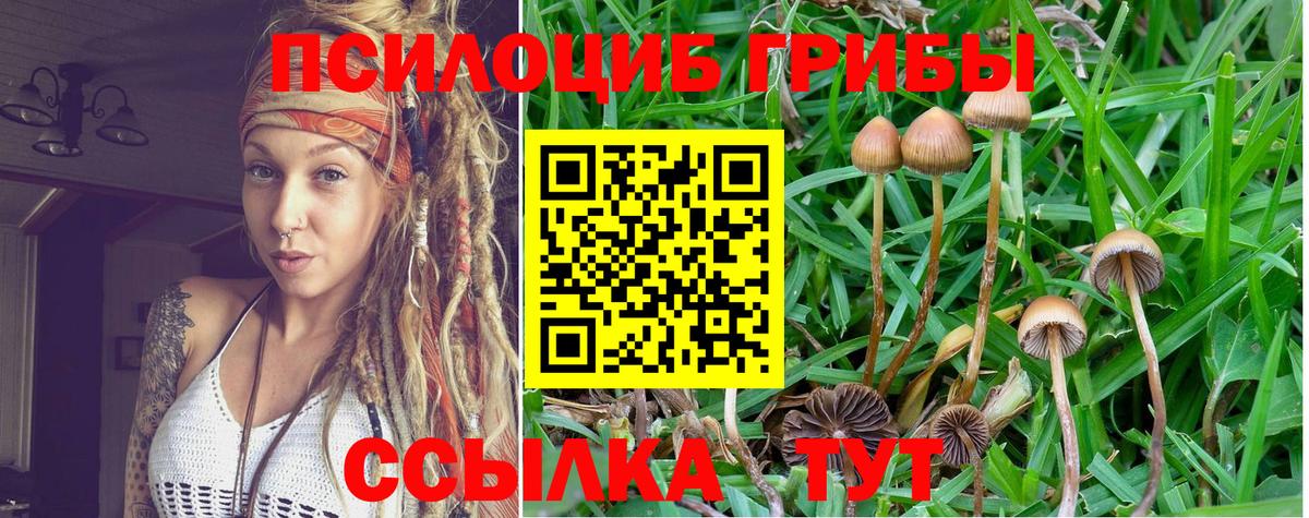 Псилоцибиновые грибы Magic Shrooms Оренбург
